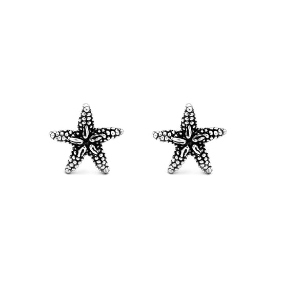 Orecchini in argento