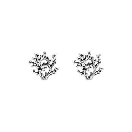 Orecchini in argento