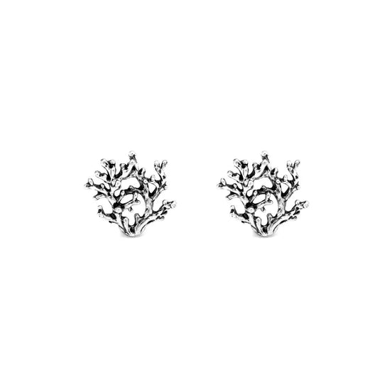 Orecchini in argento
