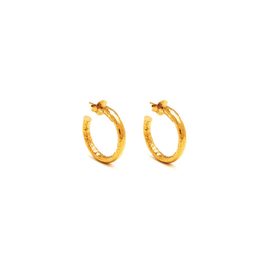 Orecchini in argento