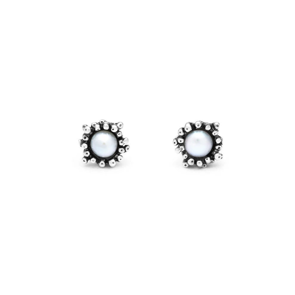 Orecchini in argento