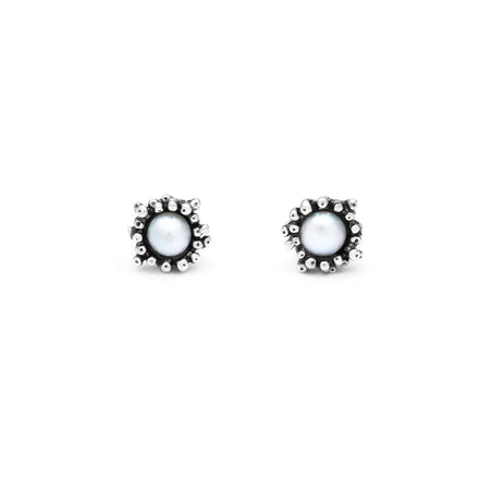 Orecchini in argento