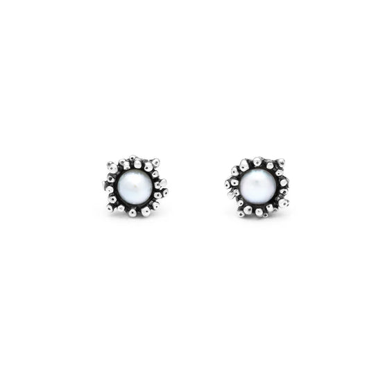 Orecchini in argento