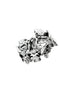 Anello in argento