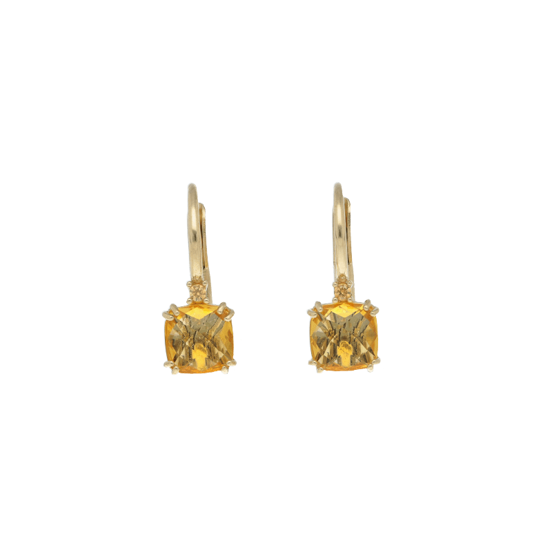 Orecchini in oro
