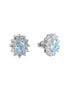 Orecchini in argento