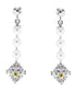 Orecchini in argento