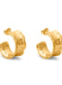 Orecchini in bronzo