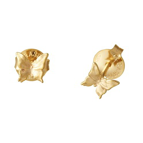 Orecchini in argento