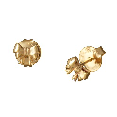 Orecchini in argento