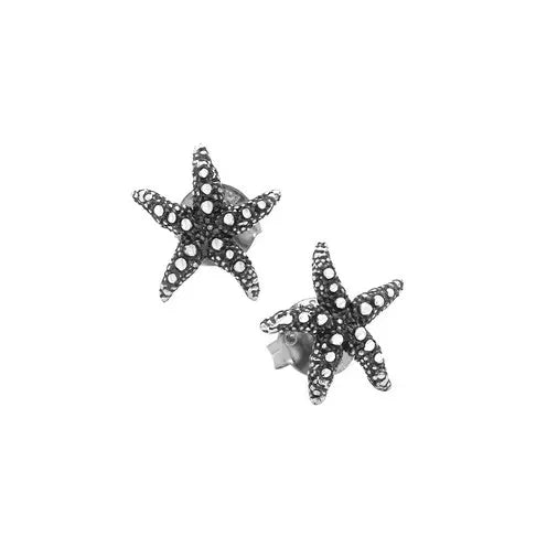 Orecchini in argento